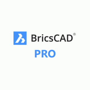 BricsCAD Pro Perpetual