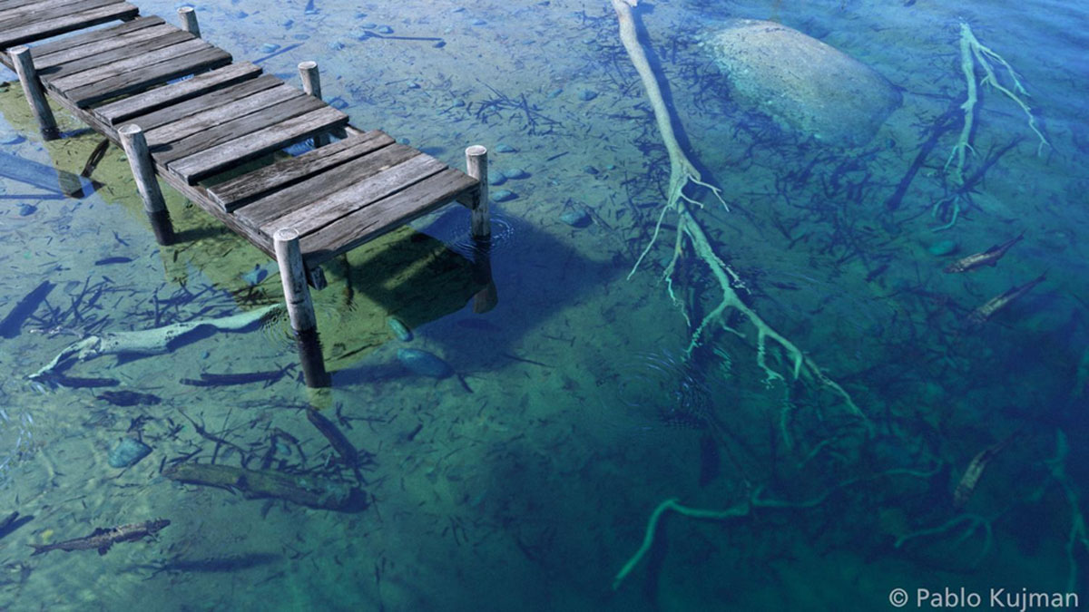 Maxon One - Image 11